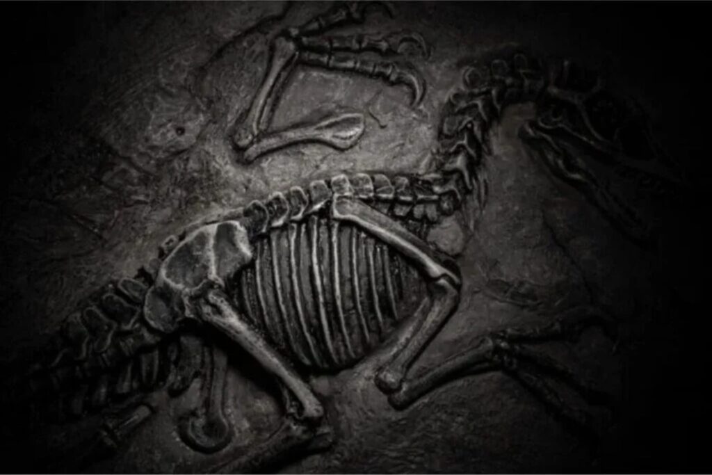 Oficialmente Descartada La Teoría De Que Los Volcanes Mataron A Los Dinosaurios El Final Del Período Cretácico Tuvo Sucesos Geológicos Y Astronómicos Desastrosos Pero Los I