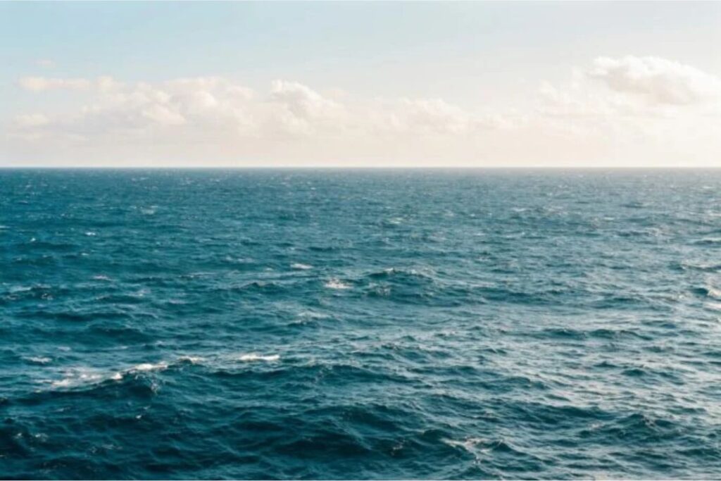 Untitled Design (5)