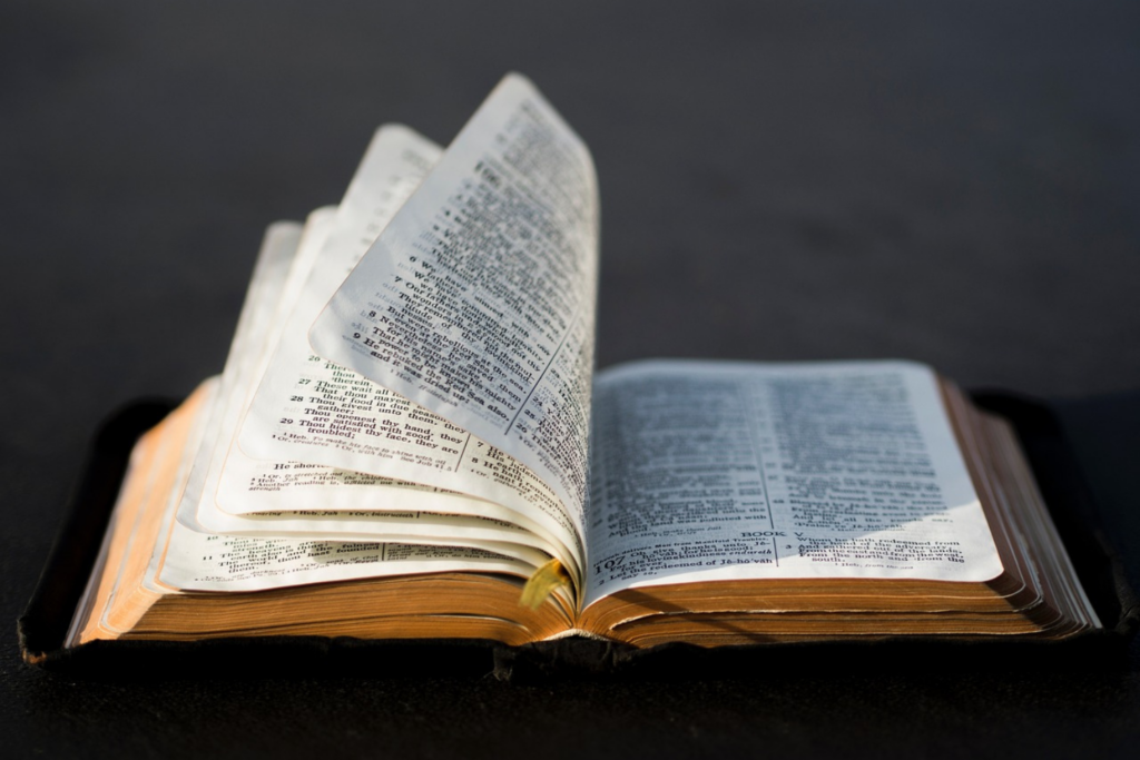 Biblia