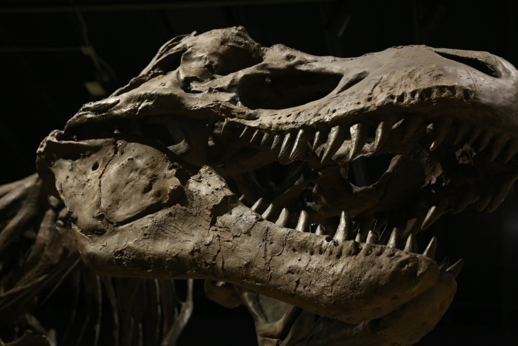 Dinosaurio