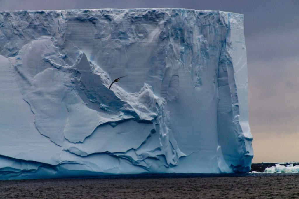 Iceberg P