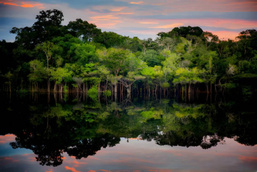 Civilização Amazonica