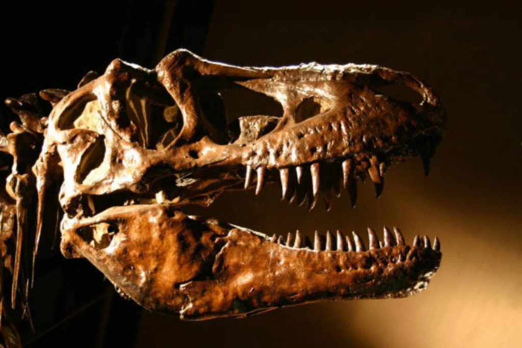 Dinossauros