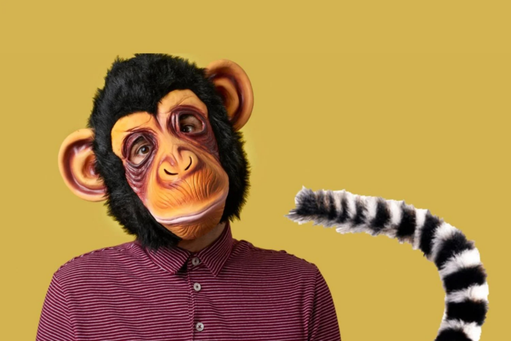 Macaco