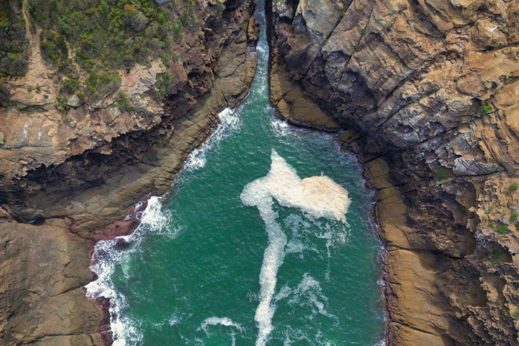 Novo Oceano