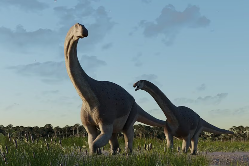 Dino