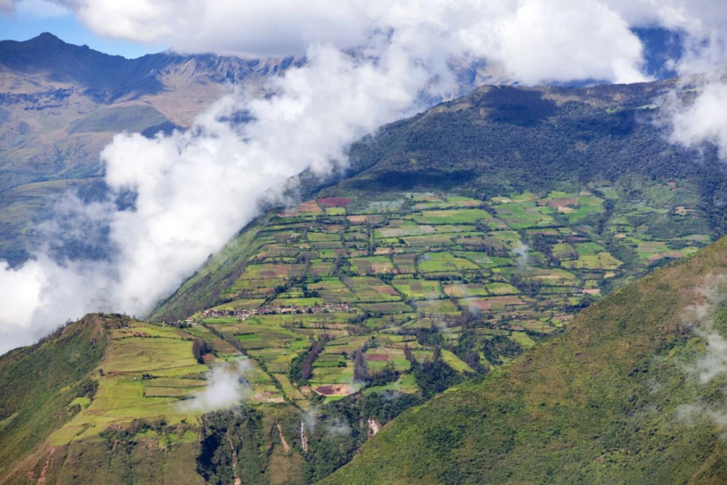 Machu