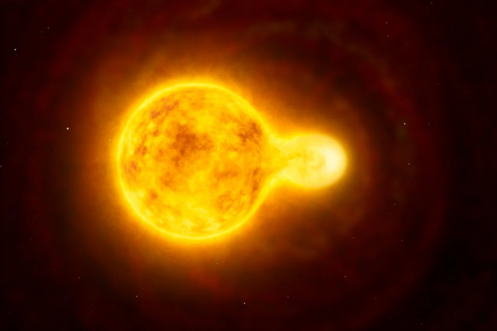Estrela