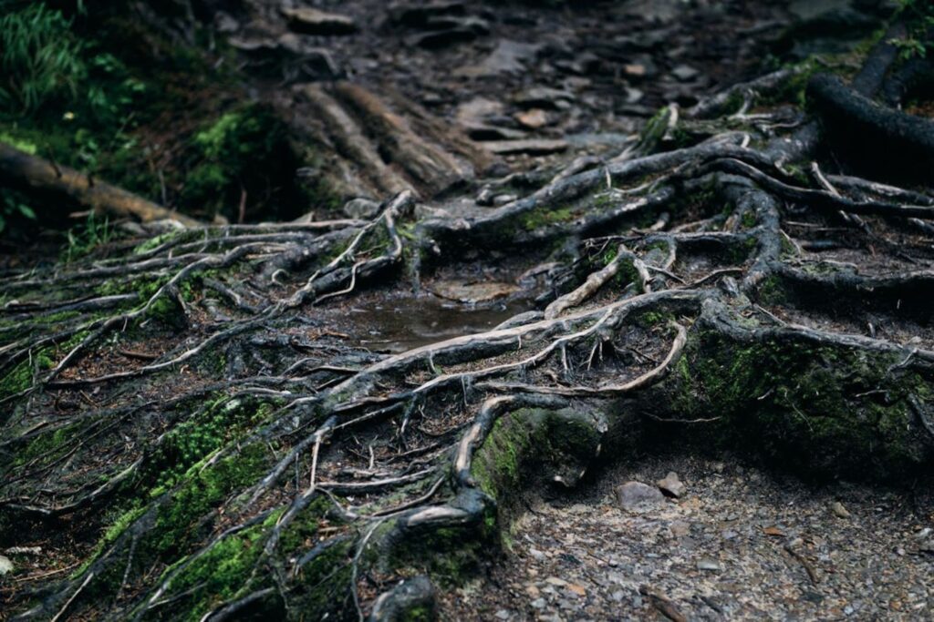 Untitled Design (7)