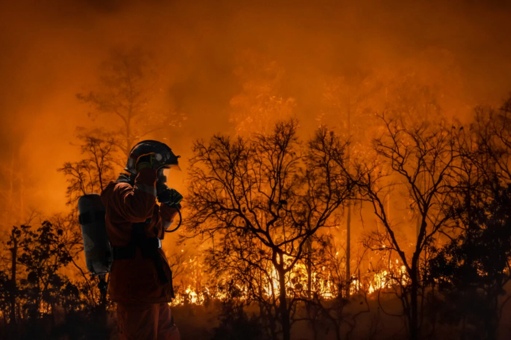 Firef