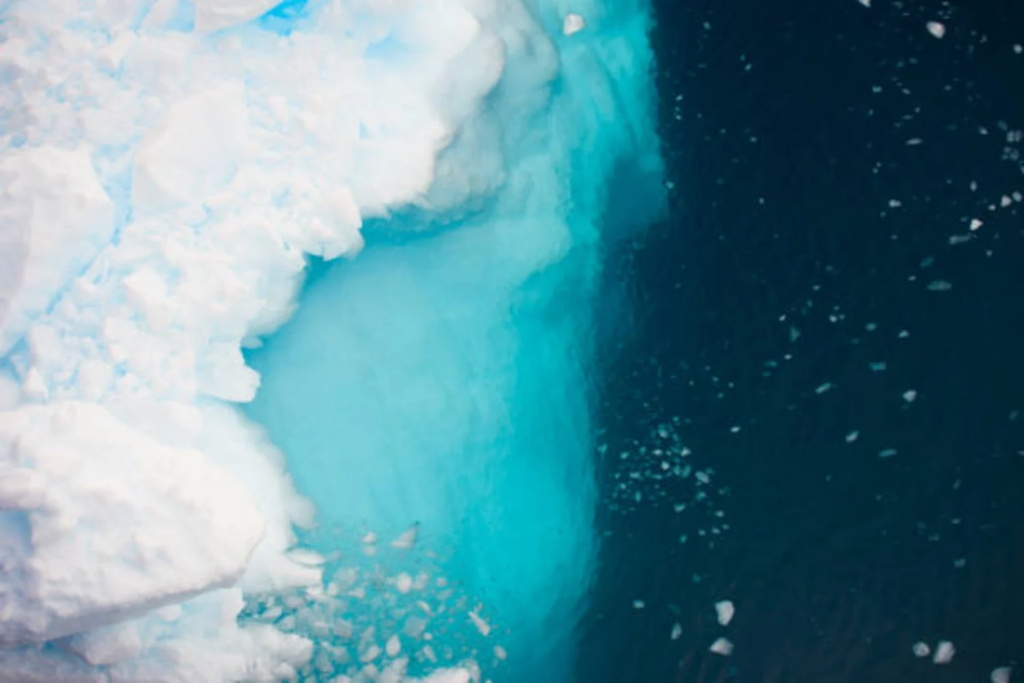 Iceberg