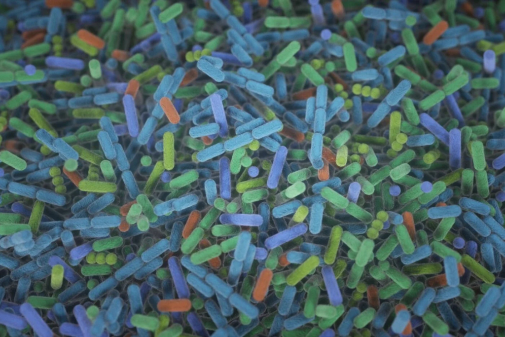 Microbieon
