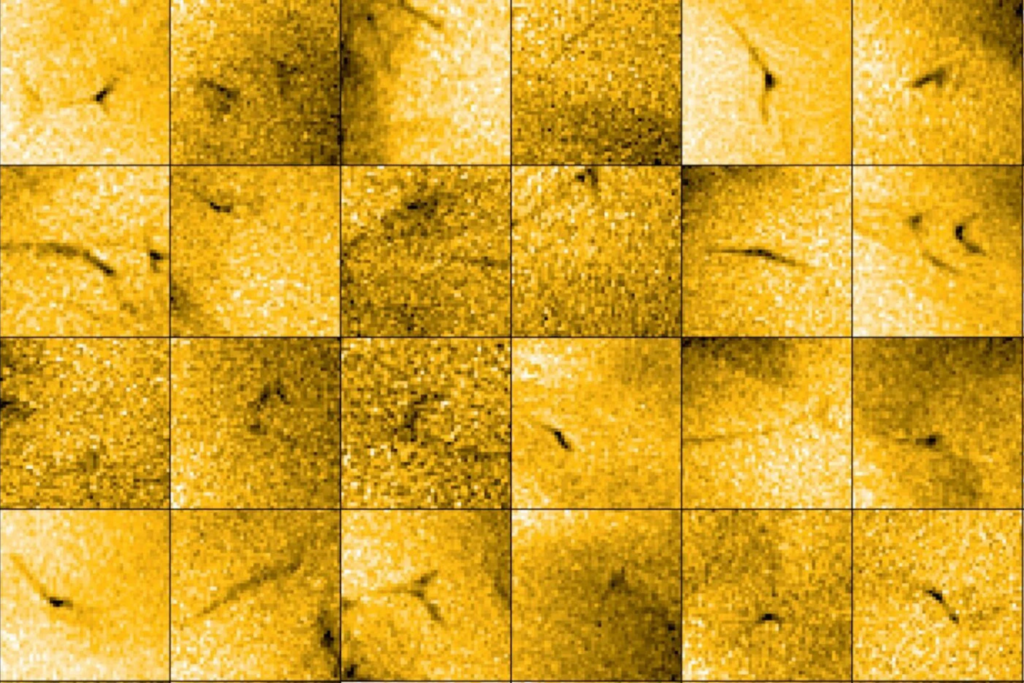 Solar Sun