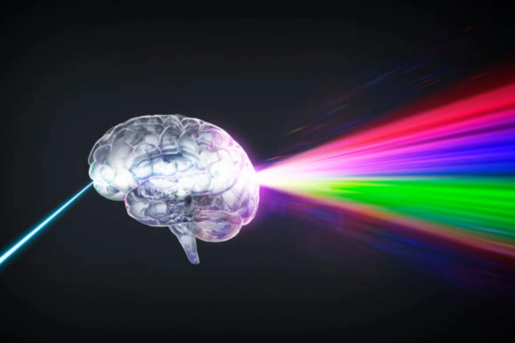 Cerebro (4)