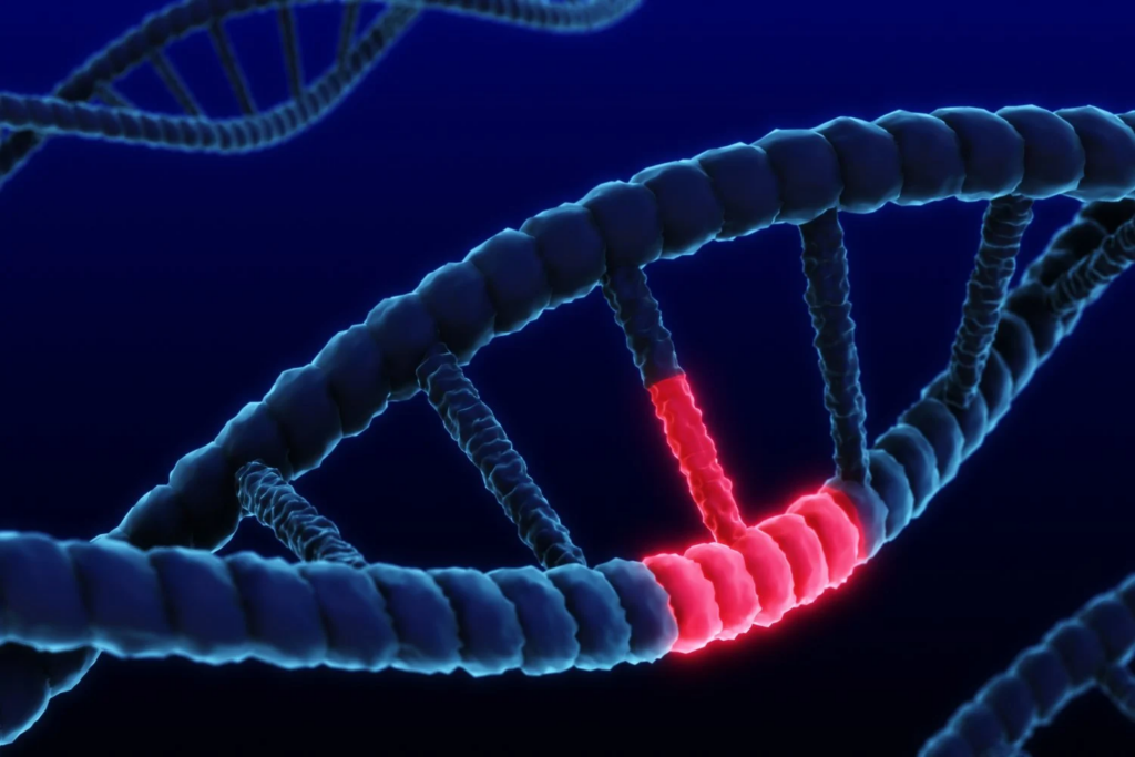 Dna