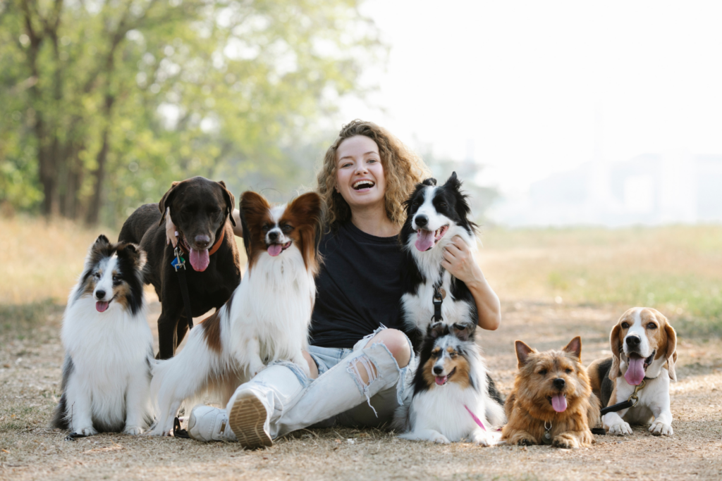 Lingua Dos Cães