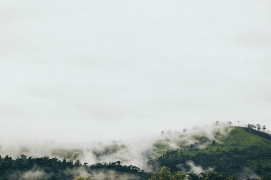 Untitled Design (10)