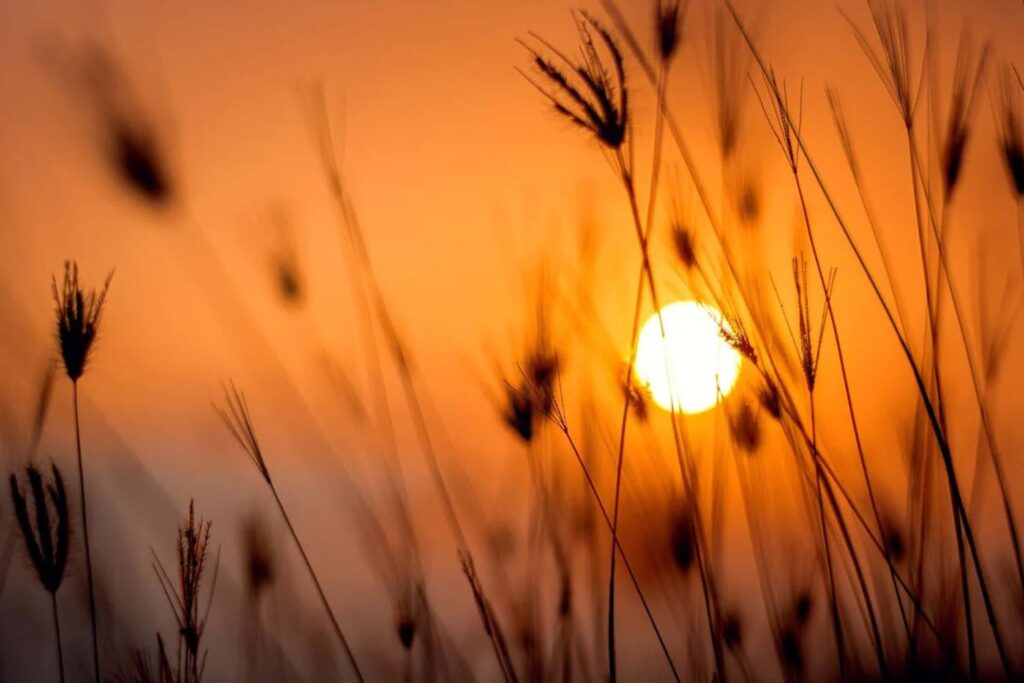 Untitled Design (11)
