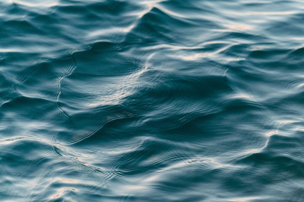 Untitled Design (7)