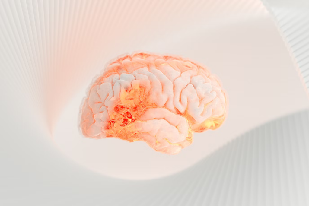 Cerebritp
