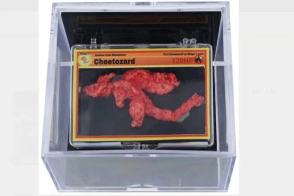 Cheetozard
