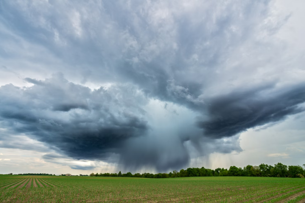 Tornadsss