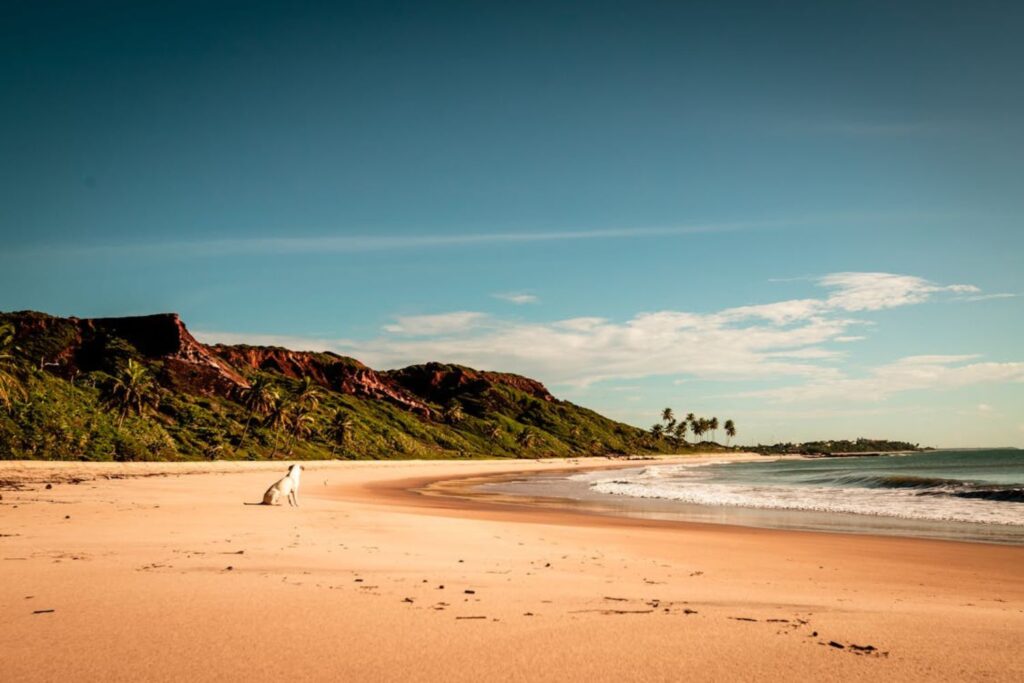 Praia famosa do Brasil pode desaparecer e alerta já foi confirmado por cientistas