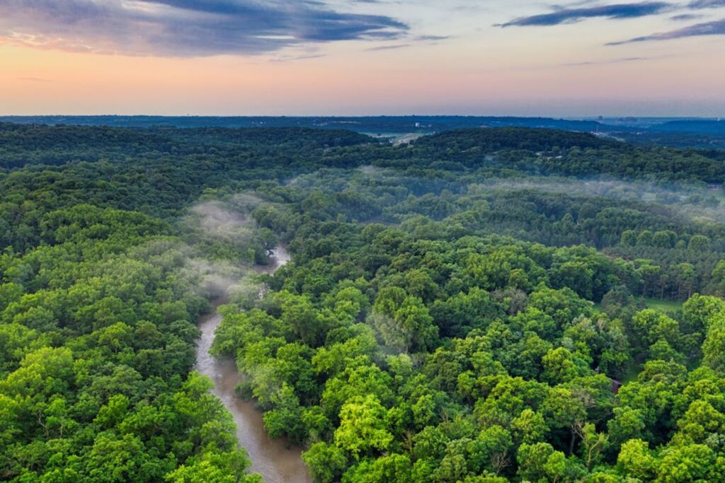 Novos peixes nas águas da Amazônia revelam toxina perigosa e evolução surpreendente