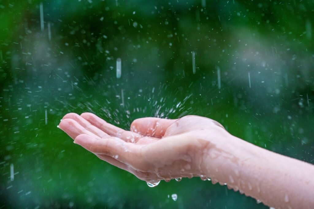 Chuva inesperada deve transformar cenário em área castigada pela seca no Nordeste
