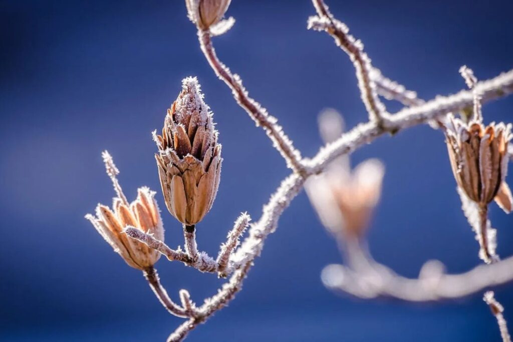 Nova onda climática surpreende o Brasil com temperaturas inéditas e mudanças extremas