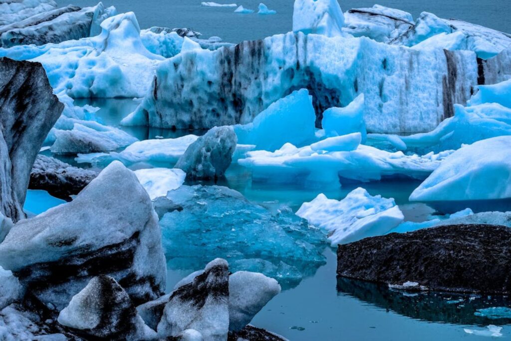 Criaturas jamais vistas são descobertas nas águas da Antártida