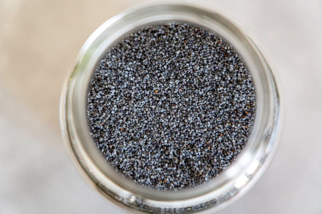 Descubra como transformar sementes de chia esquecidas em verdadeiros aliados para sua saúde