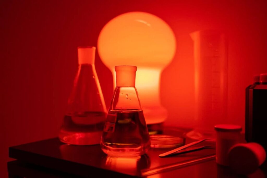 Descoberta histórica confirma teoria sobre a vitamina B1 após quase 70 anos de mistério