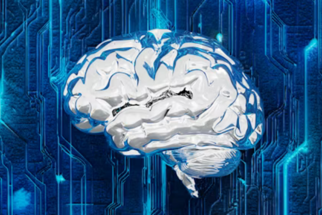 Cerebro Pp