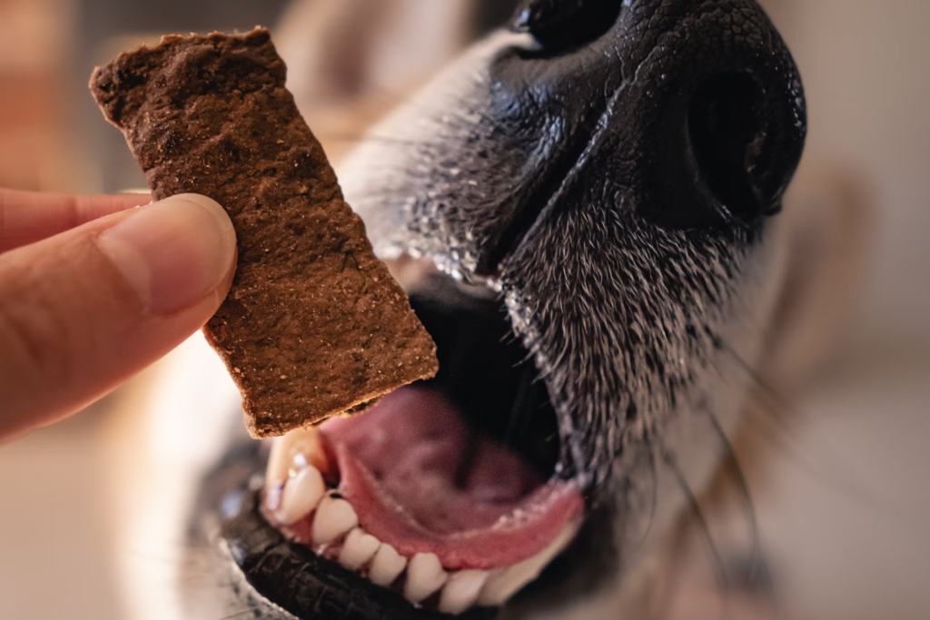 Comer Perros