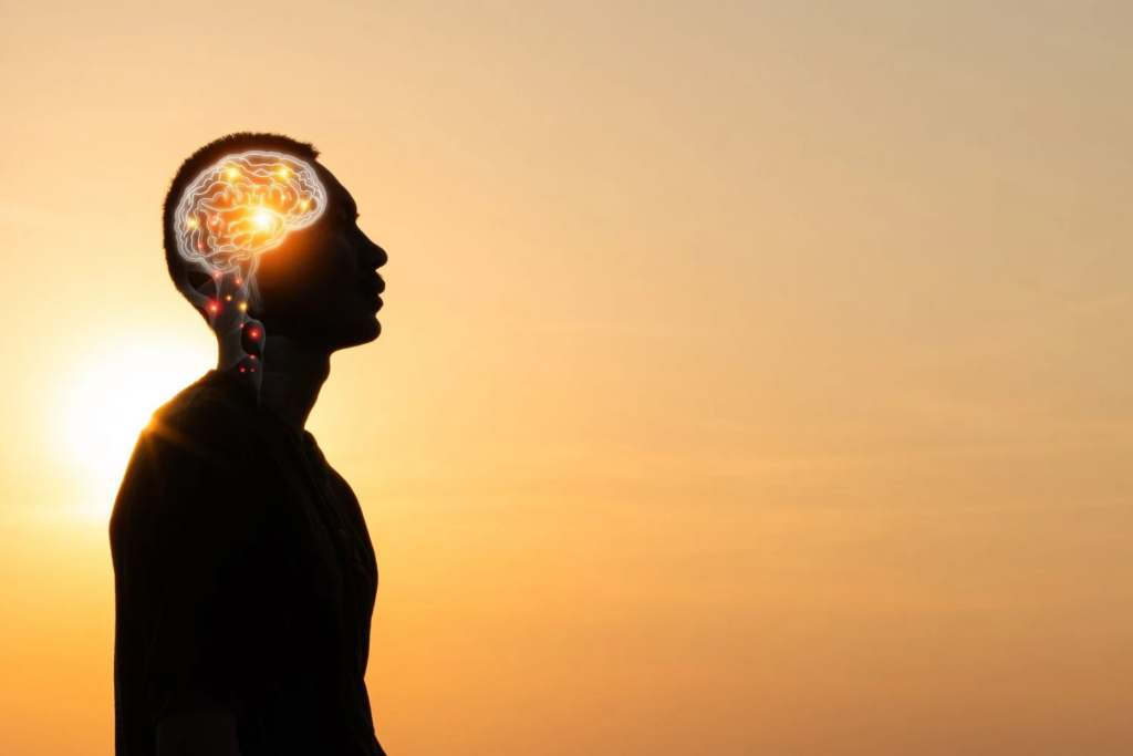 Vitalidade Cognitiva (2)