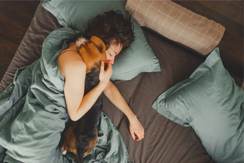 Dormir Com Seu Cachorro Ou Gato
