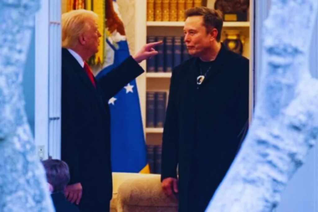 Elon Musk Some Do Mapa