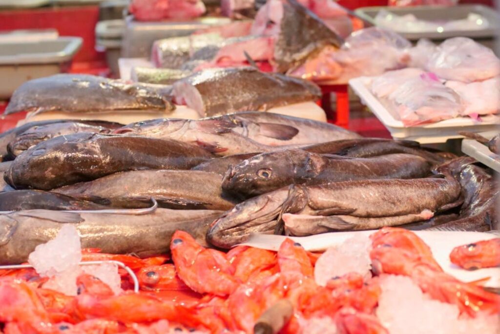 O peixe simples que supera salmão e atum em nutrientes e benefícios