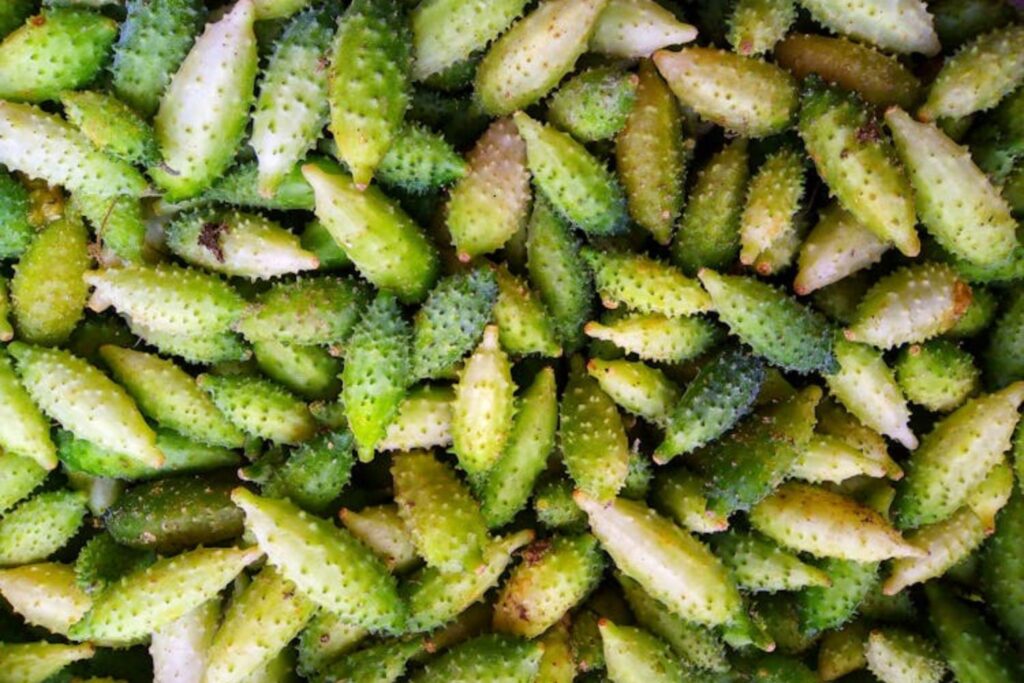 O vegetal subestimado que pode transformar sua alimentação com sabor e saúde