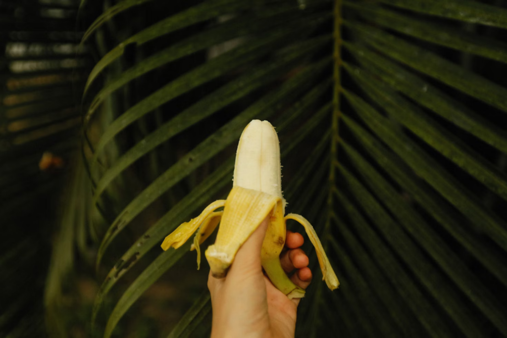 Bananas Plantas P