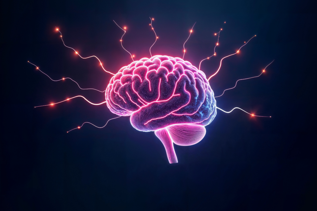 Cerebro Predice O Futuro