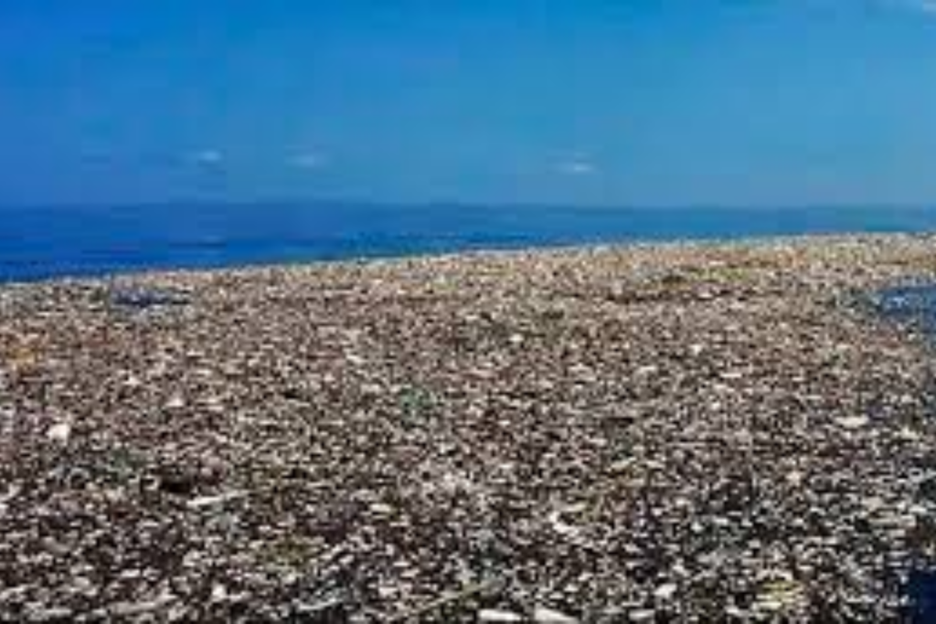 Ilha No Plastico