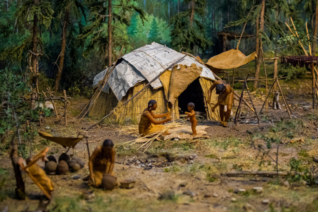 Indigena P