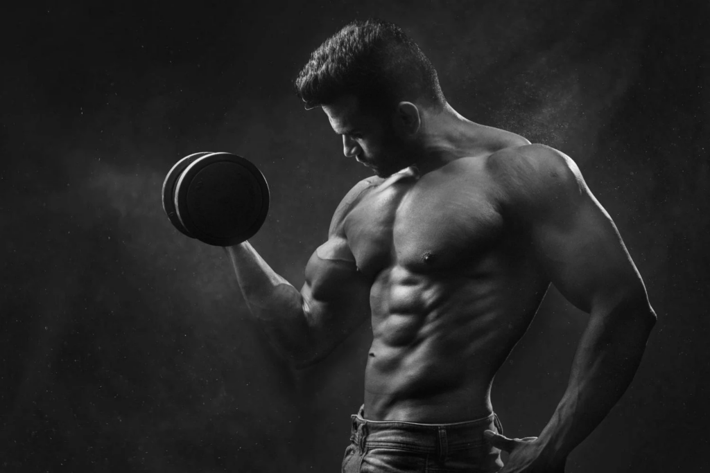 Metabolismo