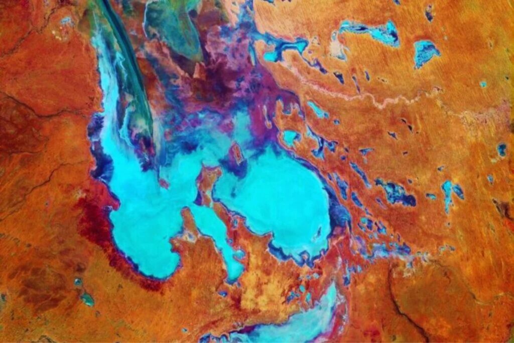 Quando o deserto fala: o retorno inesperado de um lago transforma tudo ao redor
