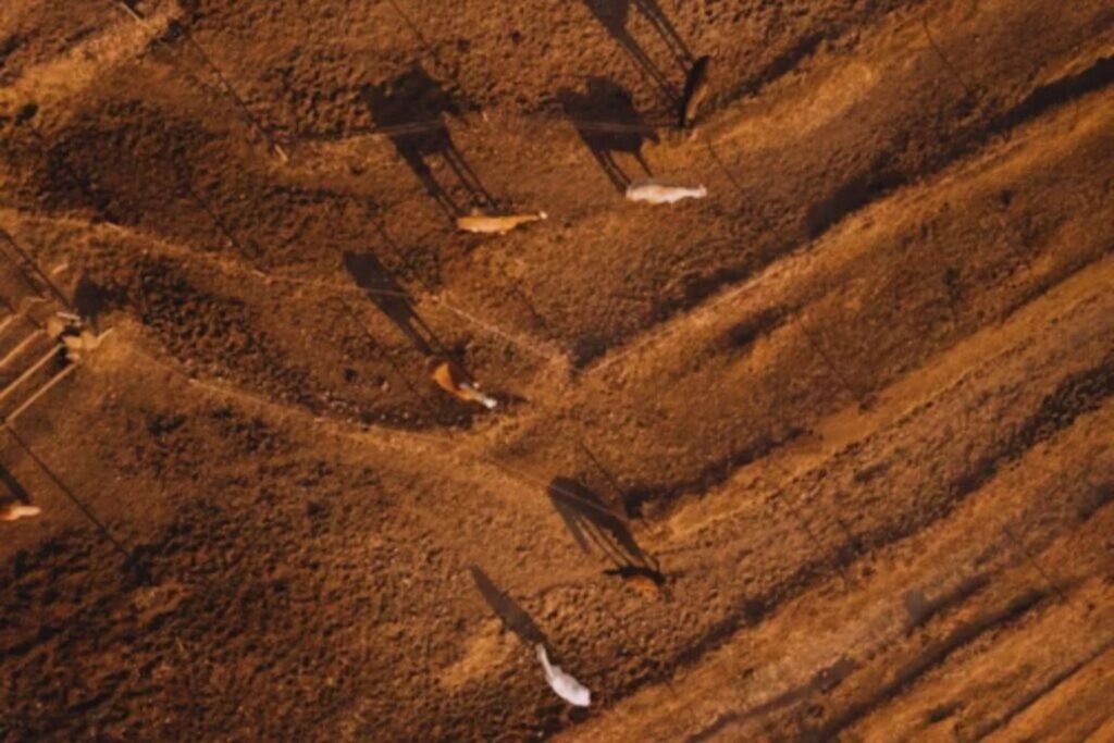 O que a China libertou no deserto parecia uma loucura… mas uma década depois, tudo mudou