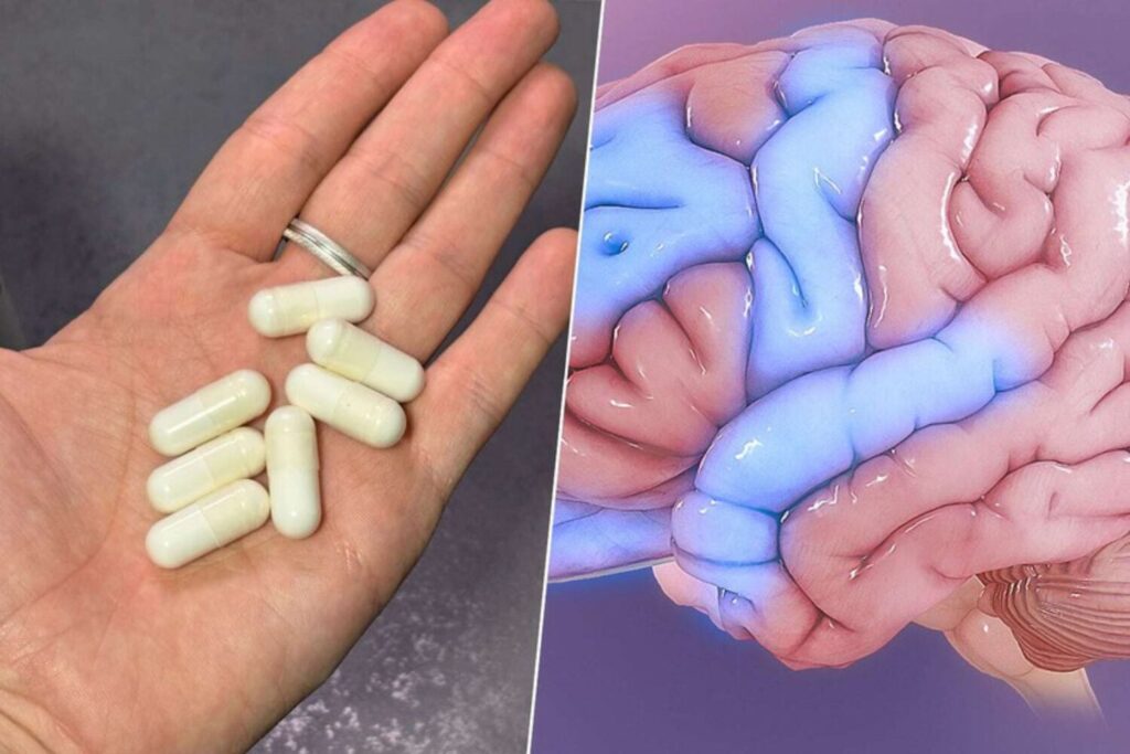 O segredo por trás da creatina: o que pouca gente sabe sobre o momento ideal de consumo