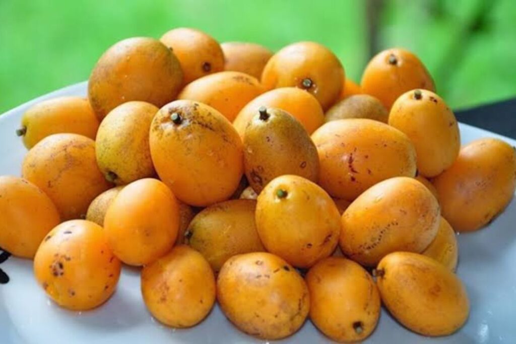 Poucos conhecem os benefícios surpreendentes e a facilidade de cultivo de uma fruta tropical que alia sabor exótico a propriedades anti-inflamatórias