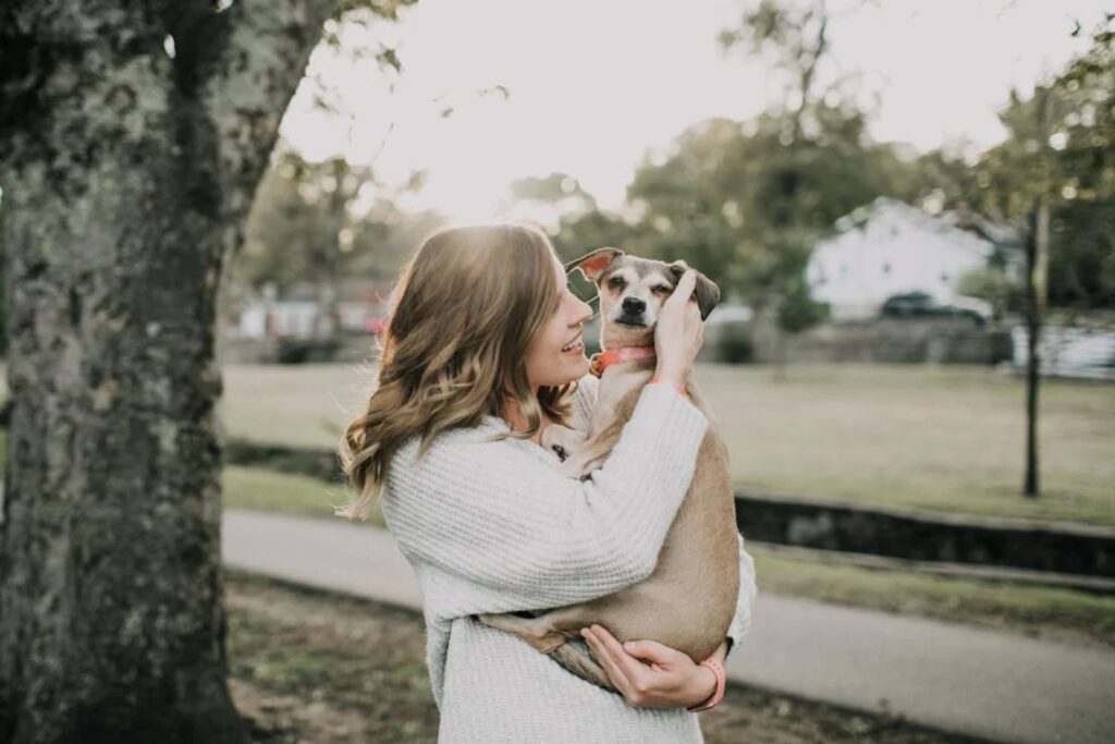 O que você precisa saber antes que o frio afete a saúde do seu pet neste inverno